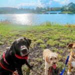 Tulo, Lexie & Bailey